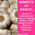 The Wellness Benefits of Garlic www.HipTheHoopla.com
